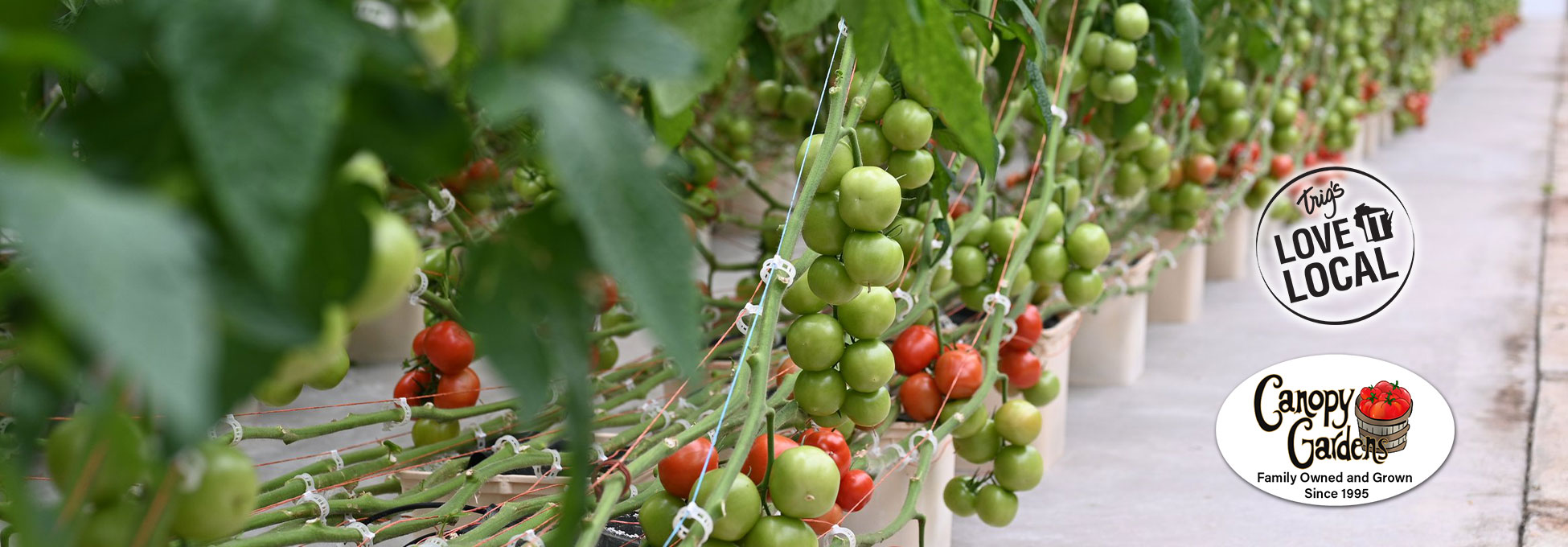 trigs-homepg-banner-loveitlocal-canopy-gardens.jpg