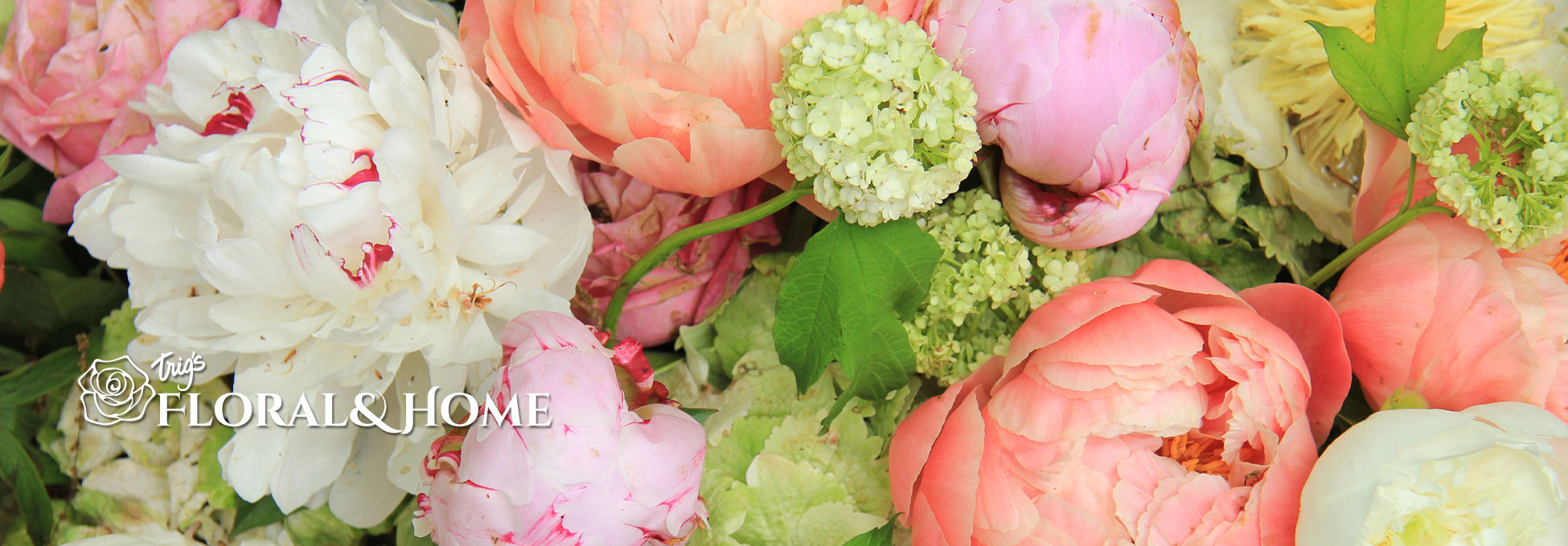 Trigs-HomePgBanner-1920x900-floral-spring.jpg