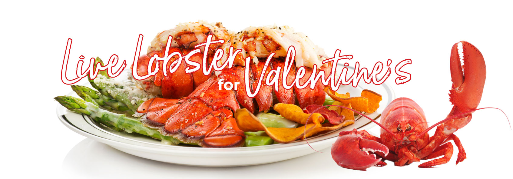 trigs-homepg-banner-valentines-live-lobster.jpg