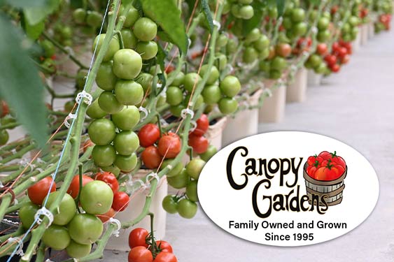 loveitlocal-thumbnail-canopy-gardens.jpg