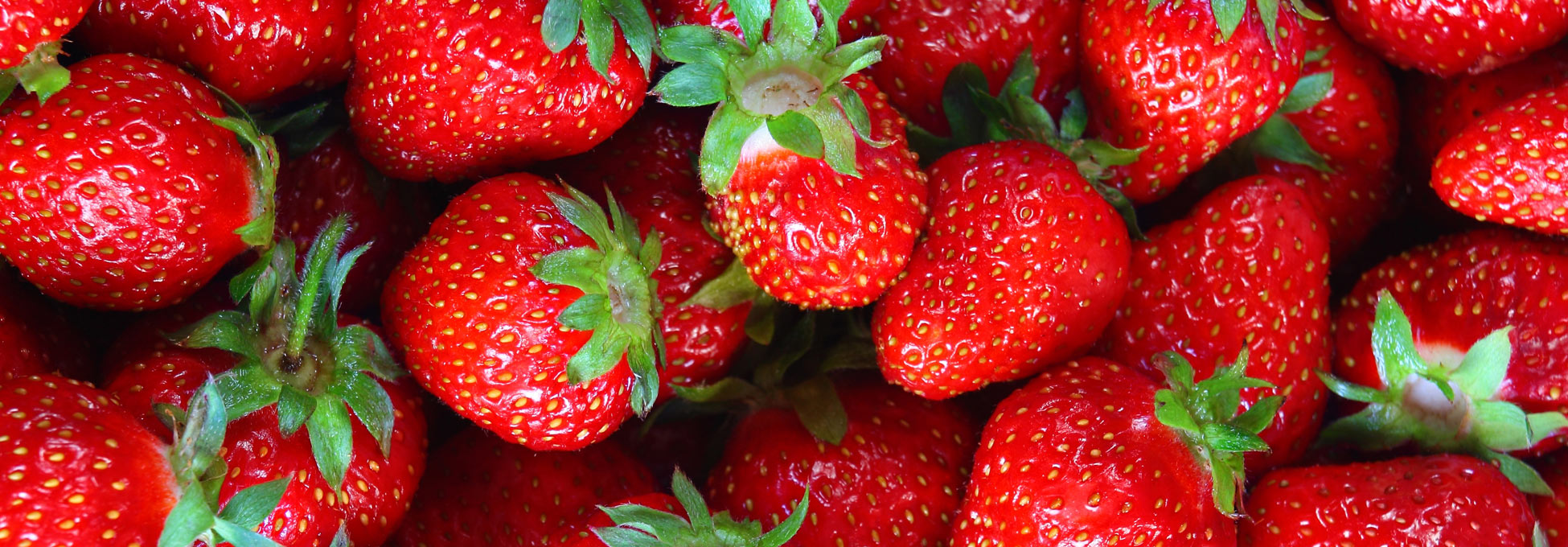 trigs-homepg-banner-strawberries.jpg
