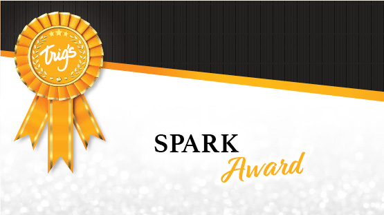 Intranet | Spark Awards