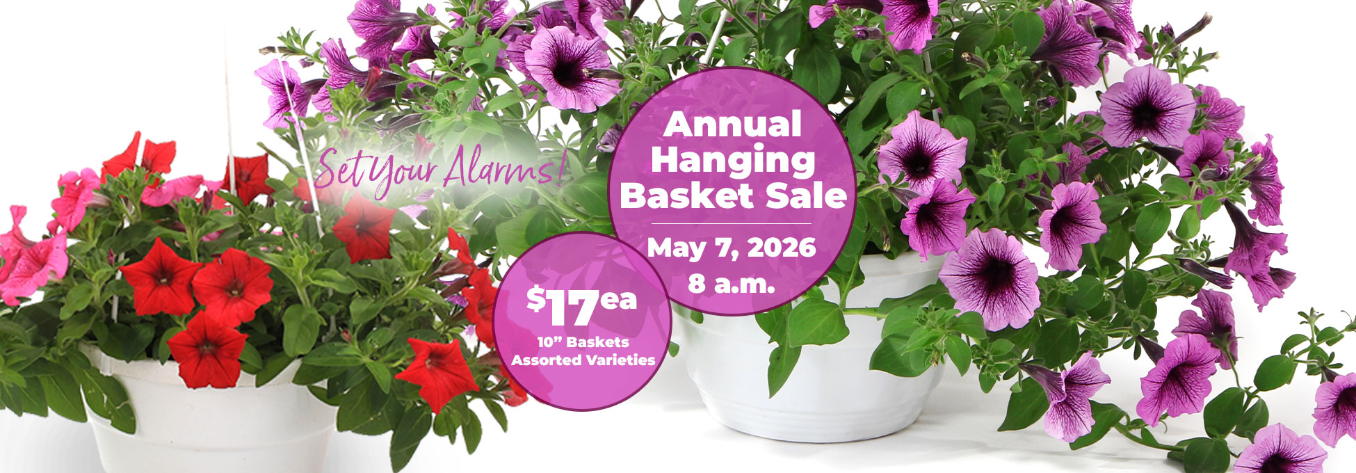 trigs-homepg-ecomm-banner-hangingbasketsale-price2026.jpg