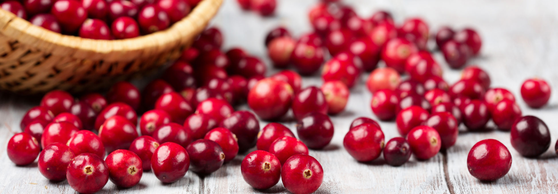 trigs-homepg-cranberries-hires.jpg