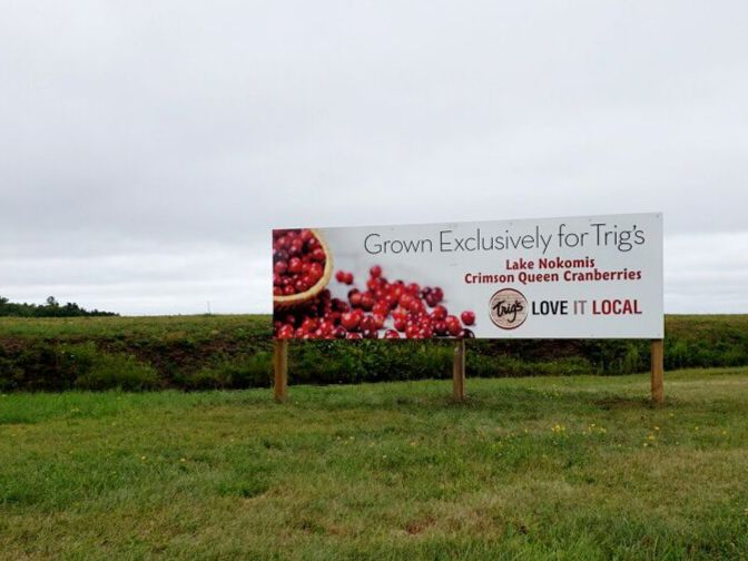 Image of cranberry bog at Lake Nakomis Cranberries grown exclusively for Trig's.