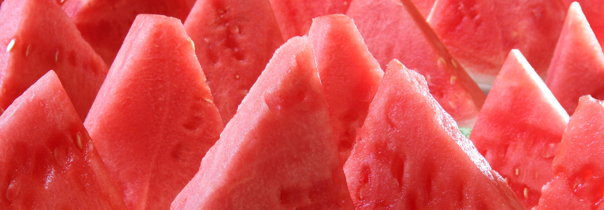 trigs-homepg-watermelon.jpg