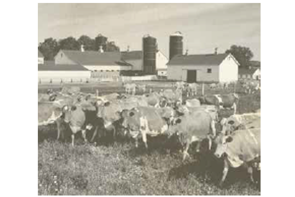 Historical Image of Hoard's Dairy