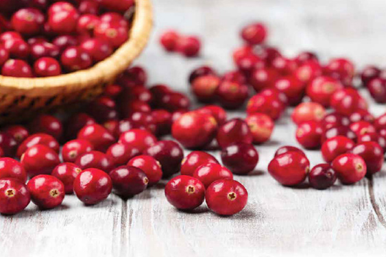 trigs-loveitlocal-lake-nakomis-cranberries.jpg