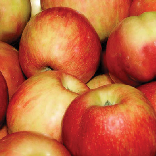 Washington Premium Honeycrisp Apples, New Crop! or Navel Oranges $1.28/lb