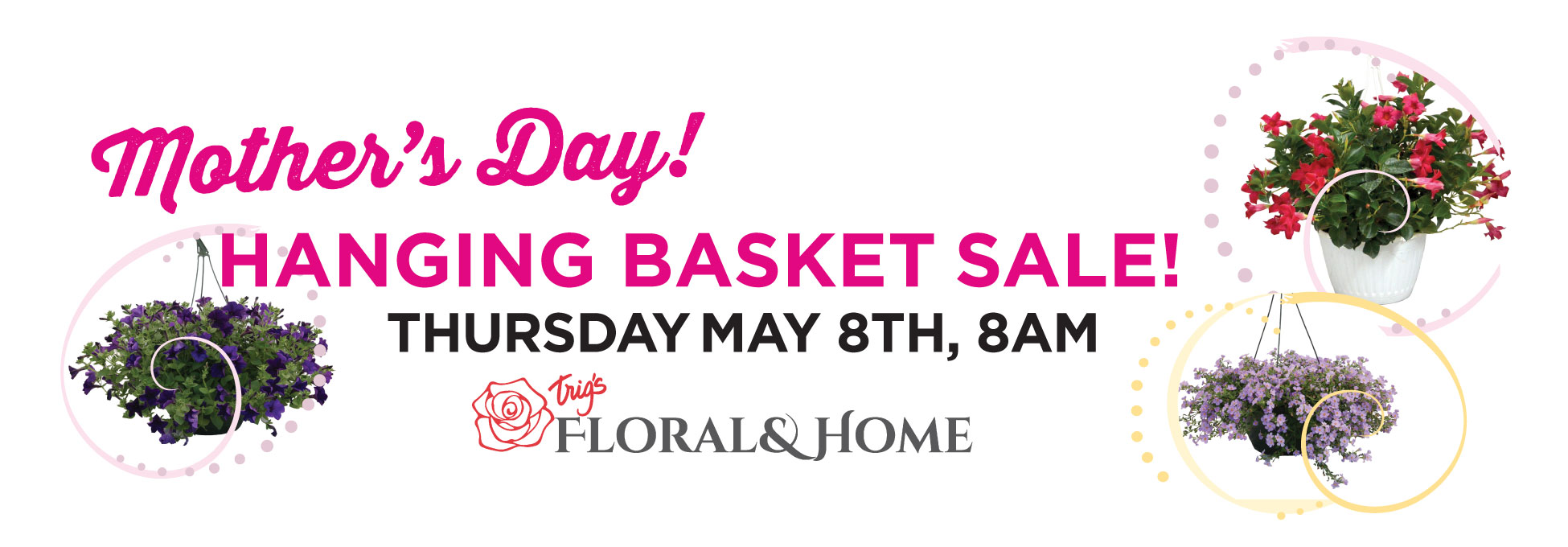 trigs-mothersday-hangingbasketsale.jpg